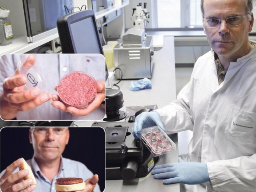 Mastrichto universiteto profesorius Markas Postas mėsos maltinuką sukūrė laboratorijos mėgintuvėlyje, pasitelkęs kamienines karvės ląsteles.