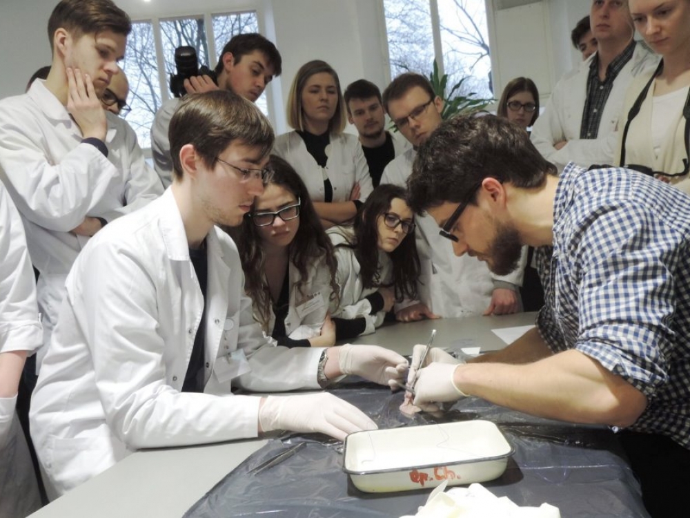 Lietuvoje iš 57 medicinos rezidentūros studijų programų 85 proc. yra per trumpos, palyginti su jų trukme vakarų šalyse.