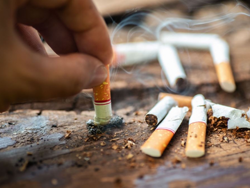 Šiemet per pasaulį galima priskaičiuoti jau apie pusšimtį nepriklausomų mokslinių publikacijų, iš vienokio ar kitokio rakurso prieinančių prie teiginio, jog alternatyvūs nikotino gaminiai rūkantįjį veikia mažiau arba yra mažiau jam žalingi nei degamasis tabakas, mat išskiria mažiau kenksmingų medžiagų. 