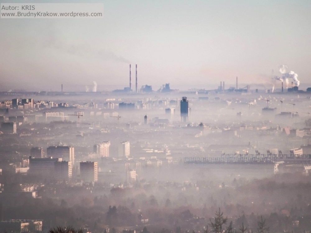 Kūrenant namų židinį lignitu, išsiskiria mirtinas sieros ir gyvsidabrio derinys, smarkiai padidinantis astmos, plaučių vėžio, širdies sustojimo ir insulto riziką. Krokuvos AGH universiteto aplinkosaugos profesorius Piotras Kleczkowskis apskaičiavo, kad draudimo naudoti taršų kurą sustabdymas Olpiny provincijoje šią žiemą lems iki 1,5 tūkst. priešlaikinių mirčių. 
