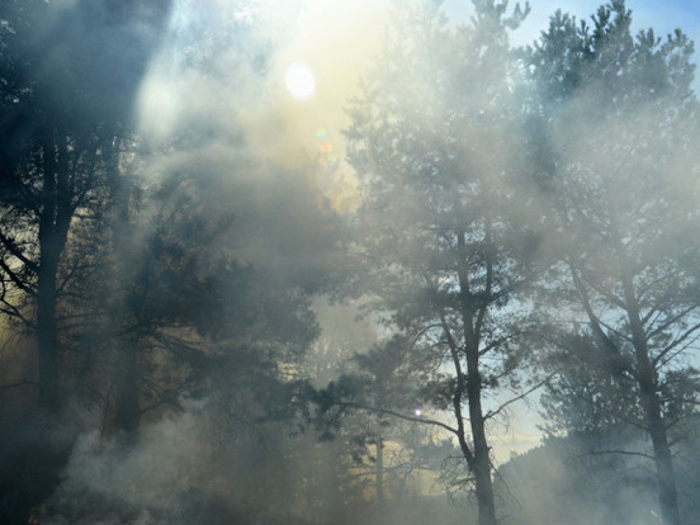 Dėl padažnėjusių gaisrų Vilnius skendi degėsių smarvėje ir smoge.