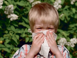 Skaičiuojama, kad net du iš trijų vaikų turi alergiją. Ankstyvoje vaikystėje dažniausiai nustatoma maisto alergija, o maždaug penkerių dešimties metų vaikams atsiranda alerginės slogos simptomai, kurie, beje, pusei vaikučių gali komplikuotis į bronchų astmą