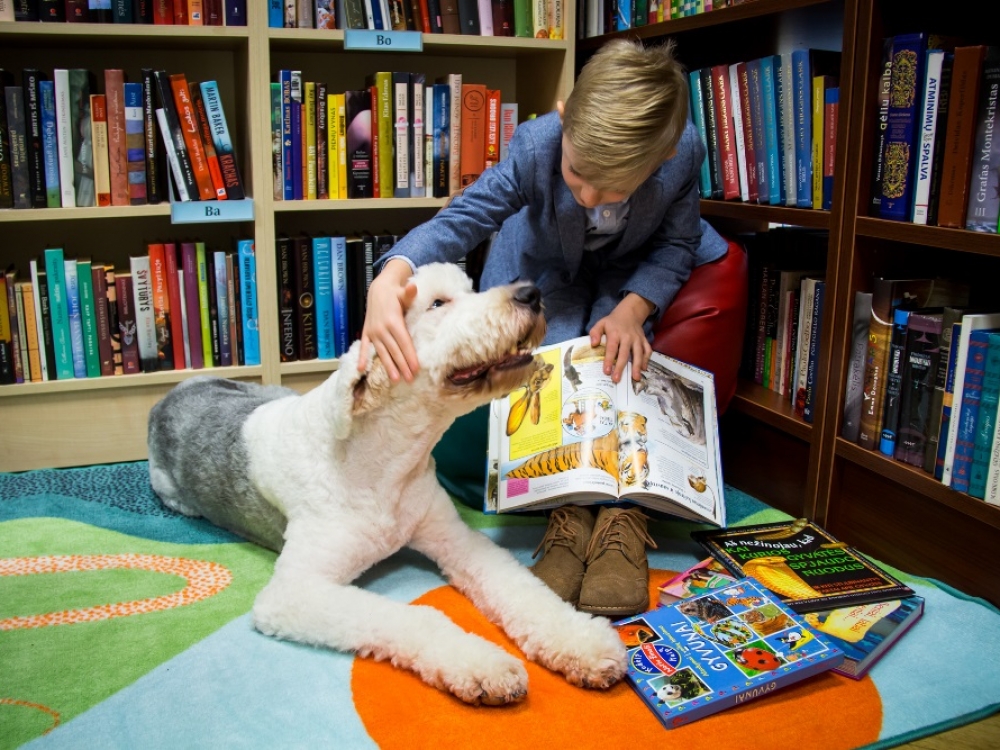 Kauno miesto viešojoje Vinco Kudirkos bibliotekoje jau penktus metus vyksta unikalus renginys, kurio metu vaikai skaito šunims. Šuo, jo šeimininkas ir vaikas susitinka porą kartų per savaitę penkiolikai minučių.