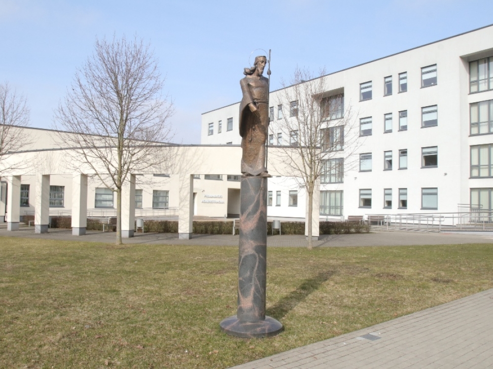 Po reorganizacijos, kurią planuojama baigti liepos 1-ąją, Šv. Roko ligoninė taps Vilniaus miesto klinikinės ligoninės struktūriniu padaliniu, pavadintu Vilniaus miesto klinikinės ligoninės Švento Roko slaugos klinika.
