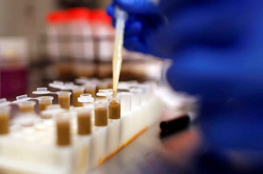 Išmatų kapsulių idėja gal ir skamba keistai, bet nėra naujiena. Išmatų transplantacijos jau patvirtintos stipriam viduriavimui, kurį sukelia Clostridium difficile bakterija, gydyti. Tačiau mokslininkai pastebėjo, kad šios transplantacijos gali padėti atsikratyti ir superbakterijų. 