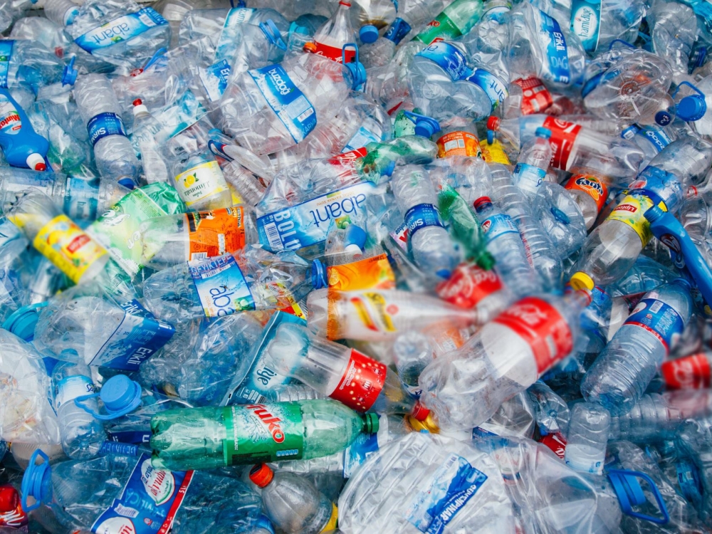Mokslininkai įrodė, kad įprastos bakterijos gali paversti plastiko komponentus paracetamoliu – vienu populiariausių vaistų pasaulyje. Tikėtina, kad šis atradimas pakeis tiek vaistų gamybos, tiek atliekų perdirbimo pramonę.