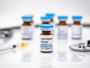 COVID-19 pandemijos metu išgarsėjusi „Pfizer“ žengia dar vieną svarbų žingsnį – nuo 2020 m. kartu su „Valneva SE“ kuria vakciną nuo Laimo ligos. 