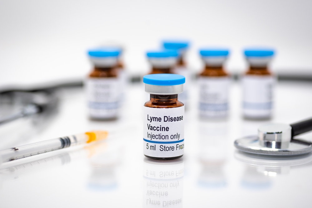COVID-19 pandemijos metu išgarsėjusi „Pfizer“ žengia dar vieną svarbų žingsnį – nuo 2020 m. kartu su „Valneva SE“ kuria vakciną nuo Laimo ligos. 