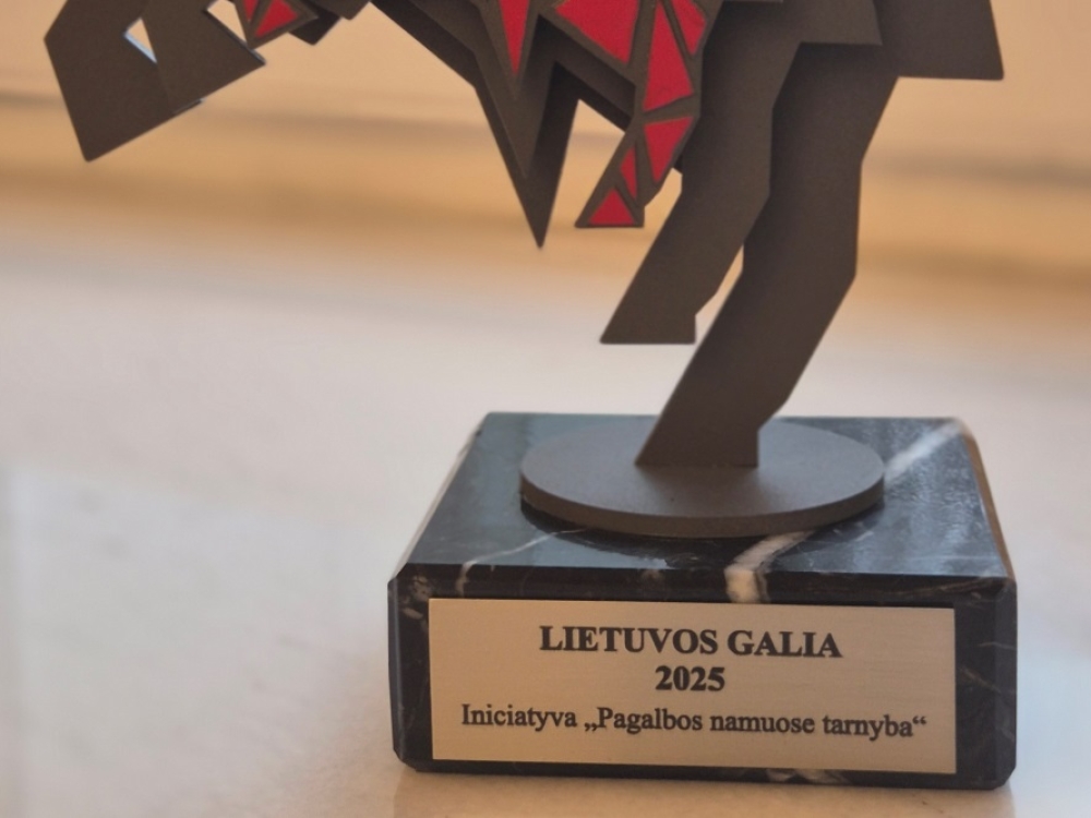 Kaune vyksta Praktinio gerumo diena