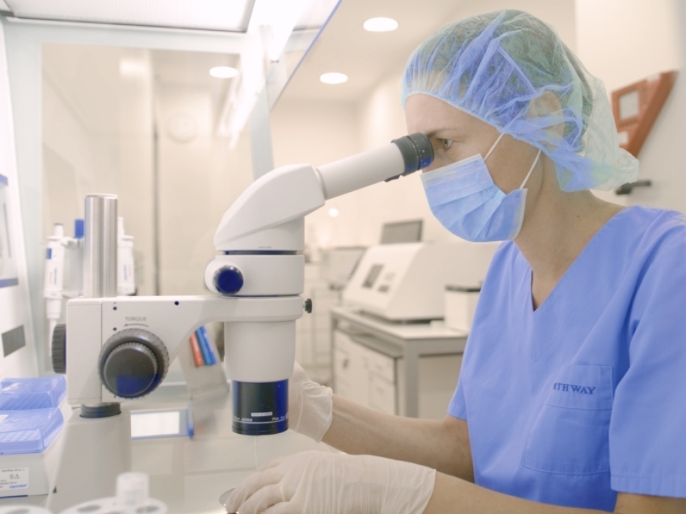 „Northway“ vaisingumo centrai – koja kojon su pasaulinėmis galimybėmis