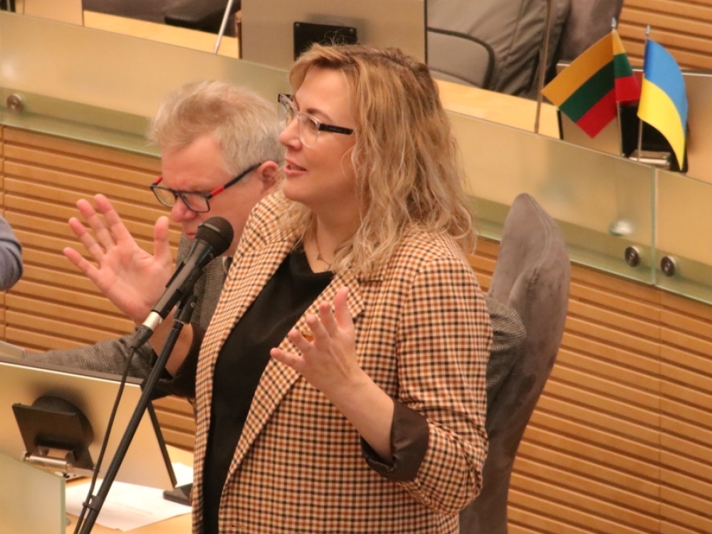 Seimo komiteto nariai: sprendimas – pagrįstas