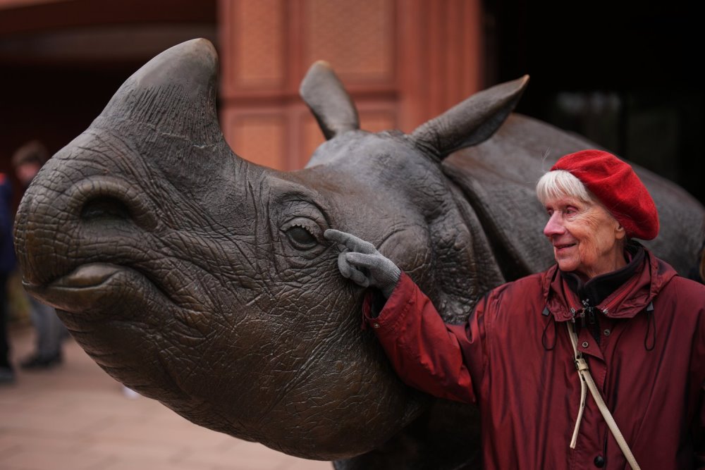 Berlyno zoologijos sode – ekskursijos sergantiesiems demencija