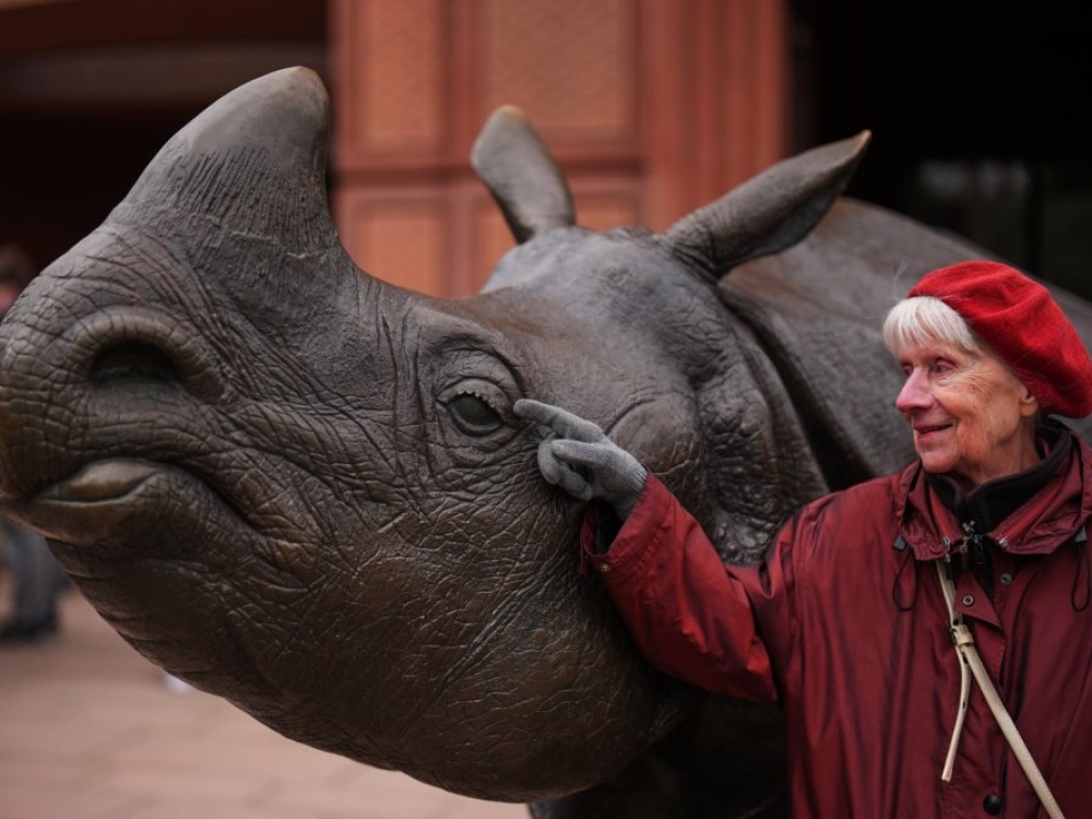 Berlyno zoologijos sode – ekskursijos sergantiesiems demencija