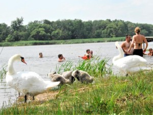 Kur saugu maudytis, o kur – nelabai