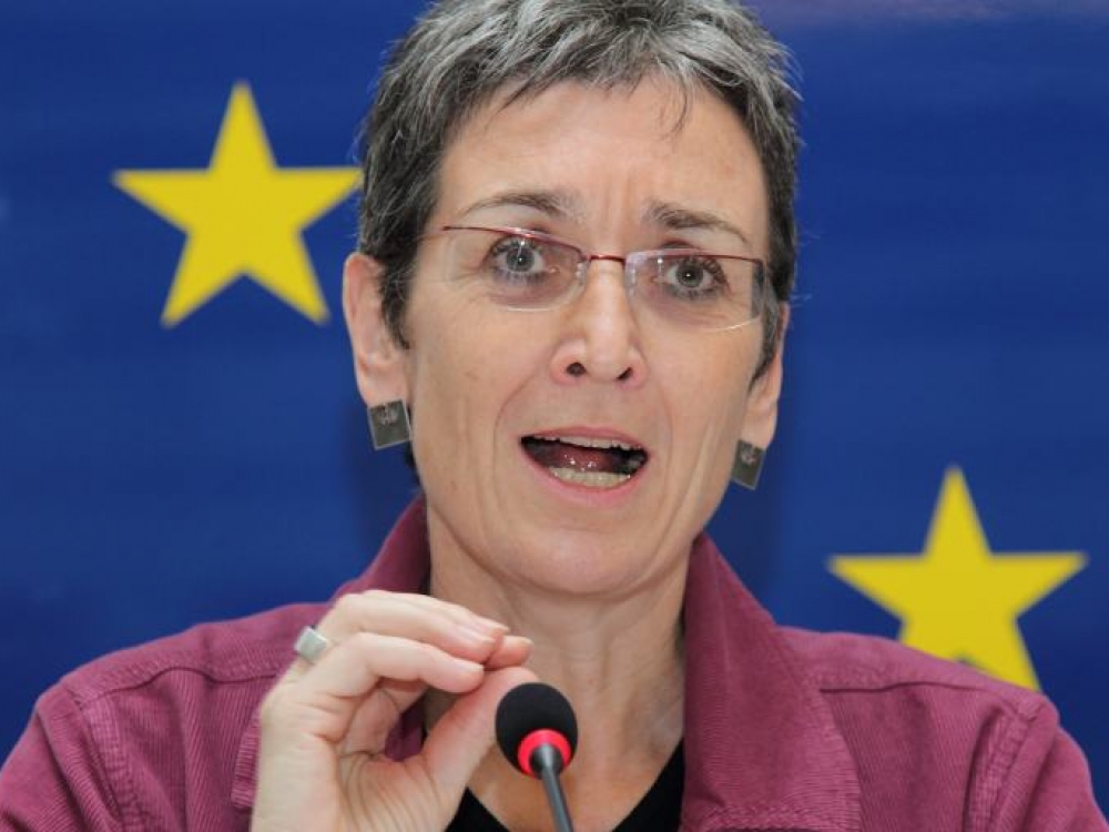 „Aš tikrai manau, kad turime būti aktyvūs Europos lygiu, nes piliečių teisės Lietuvoje yra pažeidžiamos. (...) LGBT (lesbietės, gėjai, biseksualai ir transseksualai) žmonės dėl Vyriausybės priemonių ir Seimo priimtų įstatymų yra atstumiami“, - pareiškė Europos Parlamento (EP) Žaliųjų frakcijos/Europos laisvojo aljanso narė, EP vicepirmininkė austrė Ulrike Lunacek.