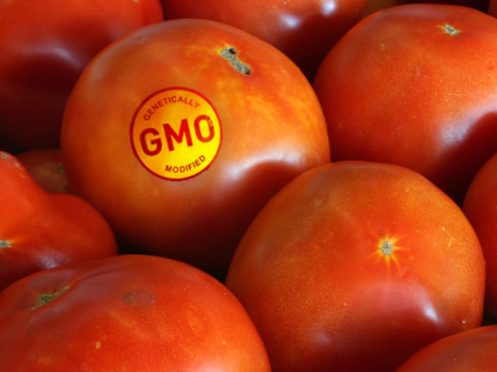  Diskusijos apie GMO netyla jau ilgą laiką, tai akivaizdus ženklas, kad visuomenė nori gauti aiškią ir nuoseklią informaciją apie maisto produktus, kuriuos jie vartoja kiekvieną dieną.