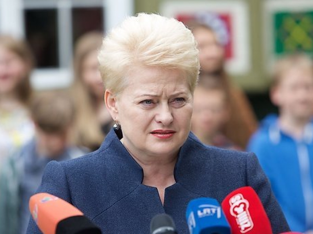  Pasak Lietuvos vadovės Dalios Grybauskaitės, Vilijampolės socialinės globos namuose per langą iškritęs vaikas dar kartą parodė, kad situacija su globos įstaigomis Lietuvoje prasta, ir Ministrų kabinetas bei SADM dėl to turėtų prisiimti atsakomybę.