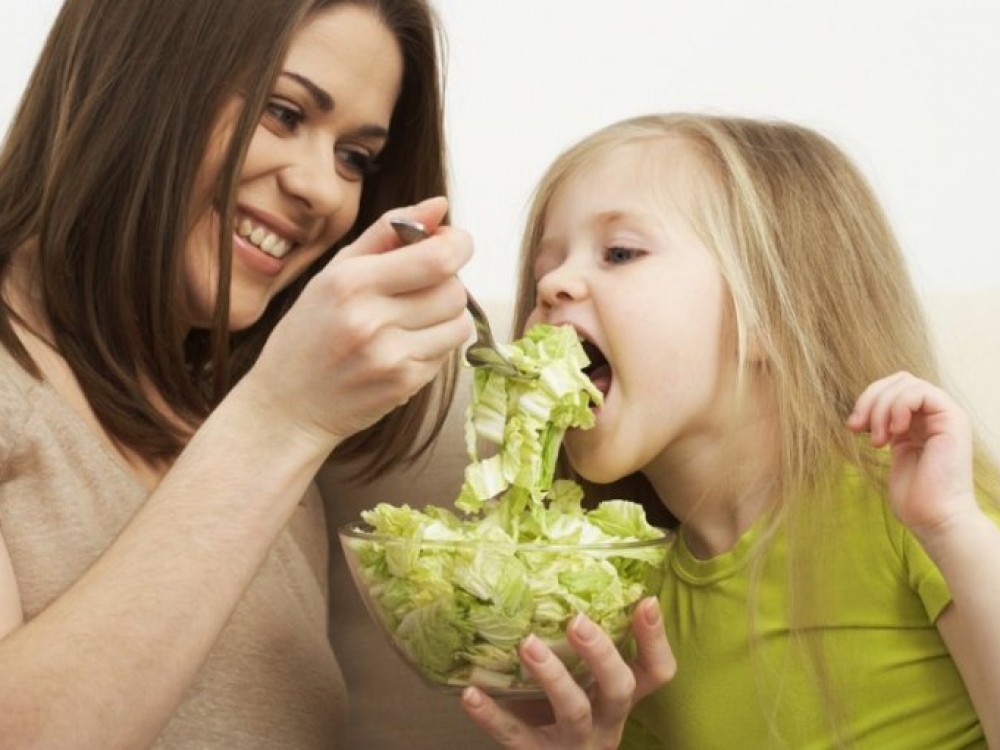 Apie vegetarizmą sklando nemažai mitų, kurių pagrįstumą gydytojai profesionalai tikrina remdamiesi moksliniais tyrimais. Iš tikrųjų dietologai nerekomenduoja propaguoti vegetarizmo, ypač kai kalbama apie jautresnes amžiaus grupes, t.y. vaikus, nėščiąsias, vyresnio amžiaus žmones.