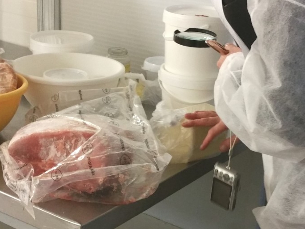 Pasak UAB „Namų dvasia“ direktorės E. Turonienės, nuotraukoje užfiksuotas VMVT atstovų grubus higienos taisyklių pažeidimas, kai ant pieno produktams skirto stalo padėta mėsa ir sūris. Esama įrodymų ir kaip inspektorės gamybinėje patalpoje sėdi su lauko rūbais, be specialių kostiumų. A.Išarienė atkerta, kad tuo metu, įmonės veikla jau buvo sustabdyta. 