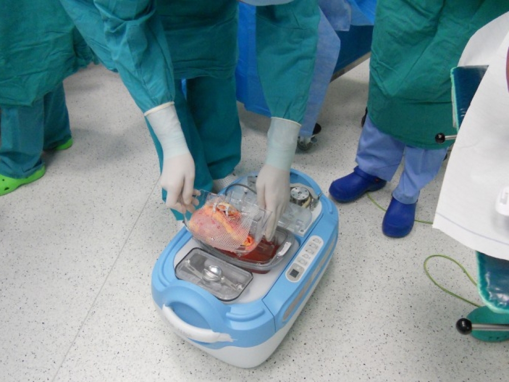 Tarp klastingų gripo komplikacijų – ir inkstų ligos, dėl kurių net prireikia šio organo transplantacijos.