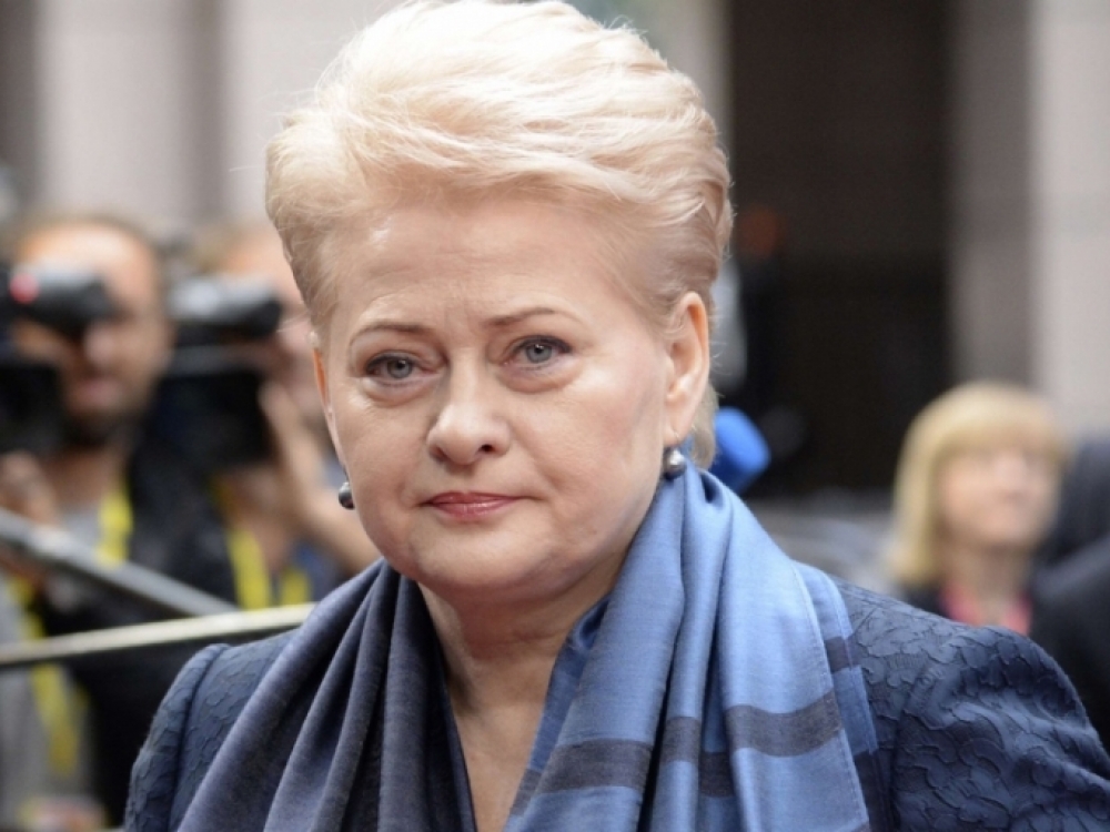 Prezidentė Dalia Grybauskaitė tikisi, kad Seimas artimiausiu metu, dar iki įstatymų įsigaliojimo, priims naujas nuostatas ir įtvirtins didesnę finansinę paramą įtėvių šeimoms, kuri atitiks valstybės keliamus tikslus.