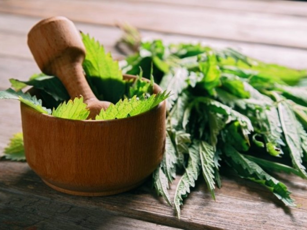 Pagrindiniai žolynai, kurių galima sukaupti nemenkas atsargas ir papildyti pavasariniais vitaminais mūsų maistą žiemos metu yra dilgėlės, kiaulpienės, garšvos, dar gali būti balandos, laukiniai ir meškiniai česnakai, jauni medžių lapeliai (liepos, klevai) bei kiti ankstyvieji lapai.