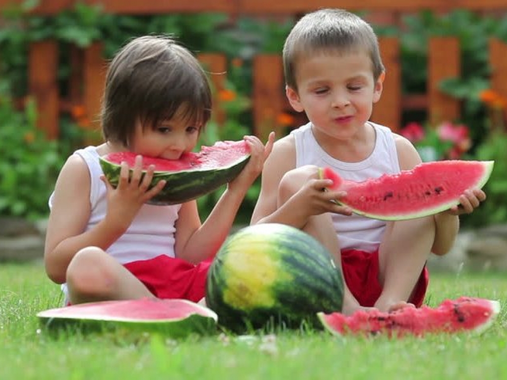 Pagrindinės sveikos mitybos taisyklės – maisto įvairumas ir subalansuotumas, valgymo reguliarumas – turėtų išlikti ir vasarą. Šiltesnis oras pakoreguoja tik produktų pasirinkimą.