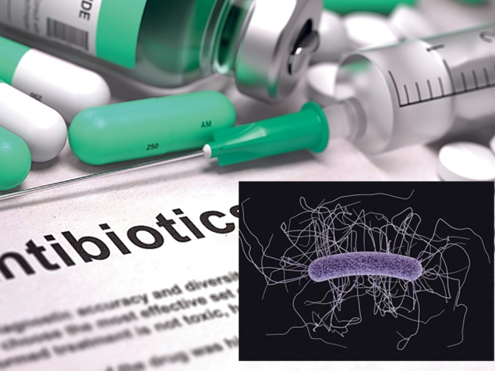 Dėl antibiotikų vartojimo žarnyne sunaikinamos gerosios bakterijos, palaikančios žarnyno mikrofloros pusiausvyrą. Dėl to pradeda daugintis Clostridium difficile bakterija-lazdelė, neretai esanti ir sveiko žmogaus ar net kūdikio organizme. Sukėlėjas pažeidžia žarnyno gleivinę, prasideda viduriavimas. Bakterija taip pat išskiria du toksinus, sukeliančius karščiavimą, sunkesnę būklę.