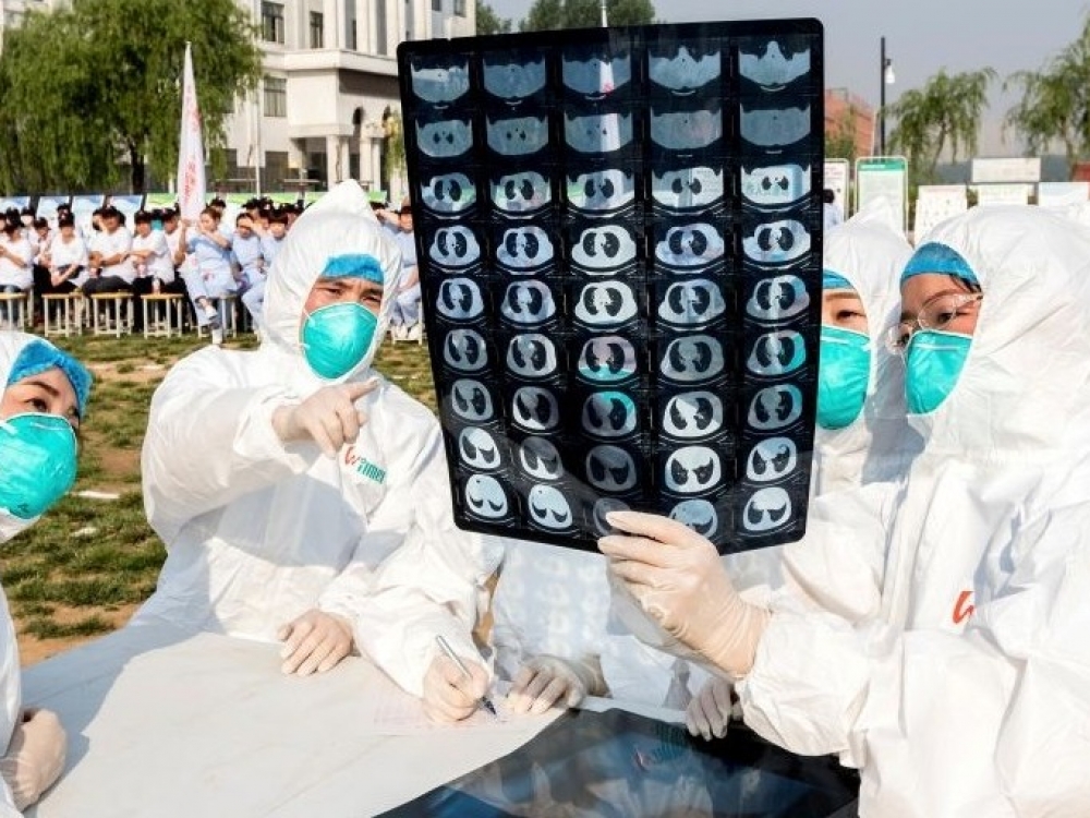 Honkongo pareigūnai šiuo metu kovoja su mirtinu paukščių gripo protrūkiu; be to, anksčiau nei įprastai miesto darželiuose ir pradinėse mokyklose prasidėjo kinų Naujųjų metų atostogos.