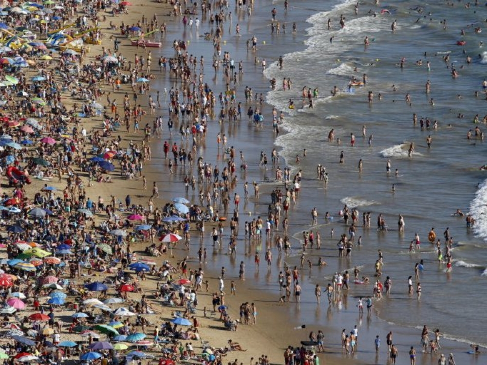 Anot ULAC skelbto pranešimo, Šiaurės Europos šalyse šiais metais jau užregistruoti keli Vibrio vulnificus infekcijos atvejai. Visi susirgę asmenys užsikrėtė maudymosi metu ir yra vyresni nei 65 metų.