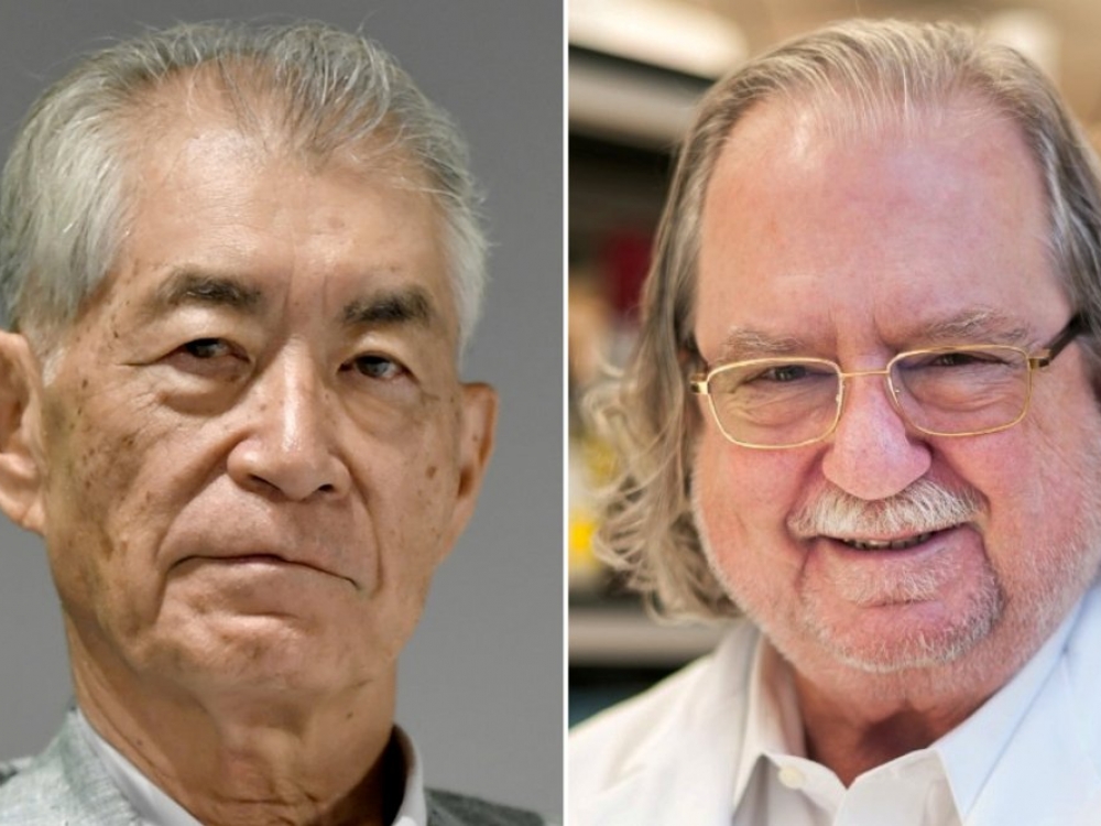 Šiųmetė Nobelio premija fiziologijos arba medicinos srityje įteikta Teksaso universiteto (JAV) profesoriui Jamesui P. Allisonui ir Kioto universiteto (Japonija) profesoriui Tasuku Honjo. Mokslininkai apdovanoti už atradimus, kurie leido sukurti naujus vėžio terapijos būdus, grįstus imuninio atsako reguliavimu.